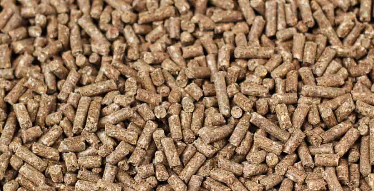 فروش کود مرغی